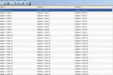 Codejock Report Control预览：
